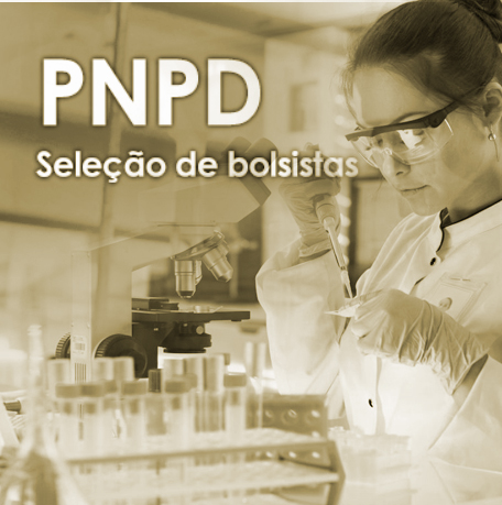 Confira as inscrições homologadas para a chamada publica de seleção de pós doutorado, bolsa PNPD - Programa de Pós-agraduação