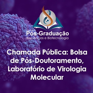A presente chamada ocorre com apoio da CAPES ao PPGBB através do Edital 09/2020 – Prevenção e Combate a Surtos, Endemias, Epidemias e Pandemias (COVID-19: Ações estratégicas do Programa de Pós- Graduação em Biociências e Biotecnologia do Instituto Carlos Chagas da Fiocruz para o desenvolvimento de ferramentas múltiplas de diagnóstico). ﻿
O bolsista aprovado nessa chamada desenvolverá projeto de pesquisa na área de Desenvolvimento de insumos e plataformas diagnósticas para o enfrentamento da pandemia de COVID-19, no Laboratório de Virologia Molecular.