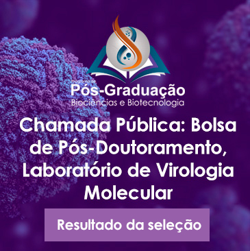 Através de chamada pública, o Laboratório de Virologia selecionou um bolsista para iniciar em setembro de 2020 atividades de desenvolvimento de ferramentas de diagnóstico da Covid-19