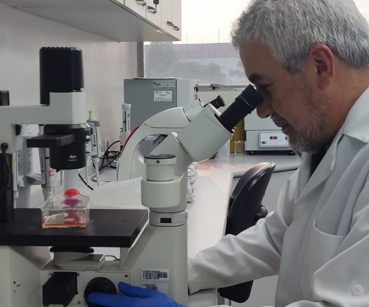 Pesquisador da Fiocruz Paraná vence edital de mobilidade bilateral Espanha – Brasil